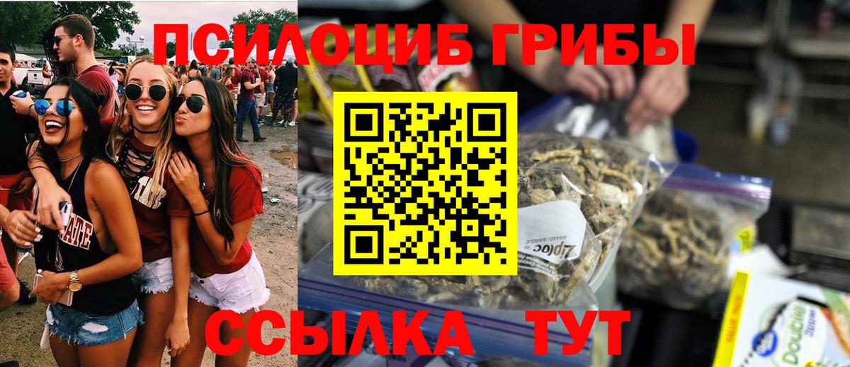Псилоцибиновые грибы Psilocybine cubensis  Вход с VPN  Орёл 